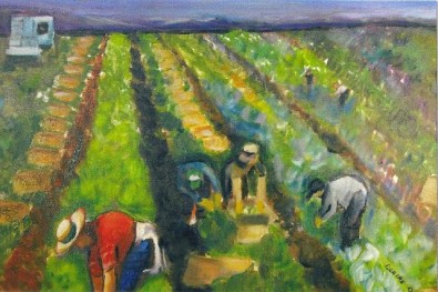 FIELD WORKERS